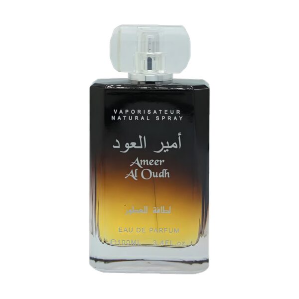 Ameer Al Oudh