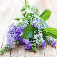 aromatic perfume notes