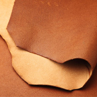 leather perfume notes